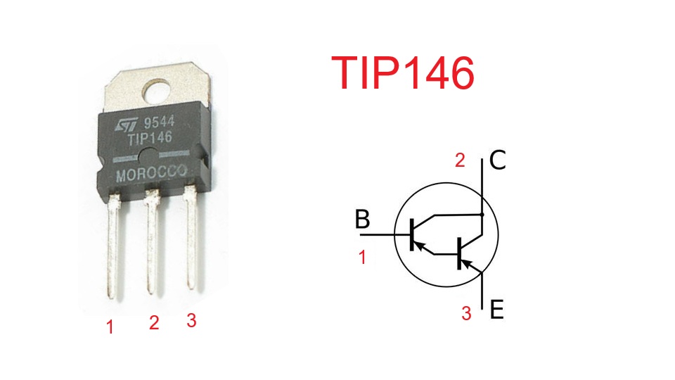 TIP146