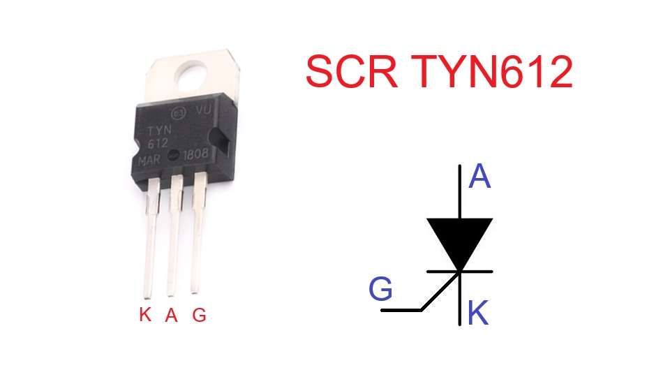 SCR TYN612