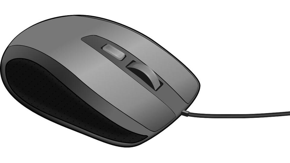Mouse